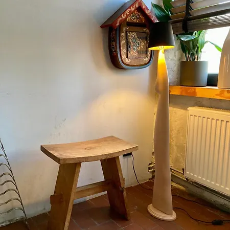 Apartment Storage Loft