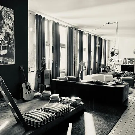 Apartment Storage Loft *