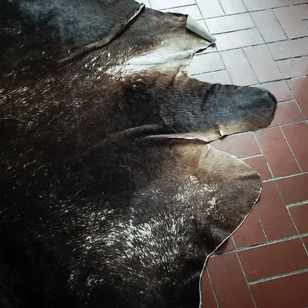 Storage Loft * ברלין