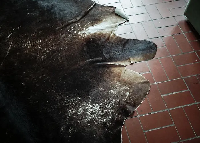 Storage Loft * Βερολίνο